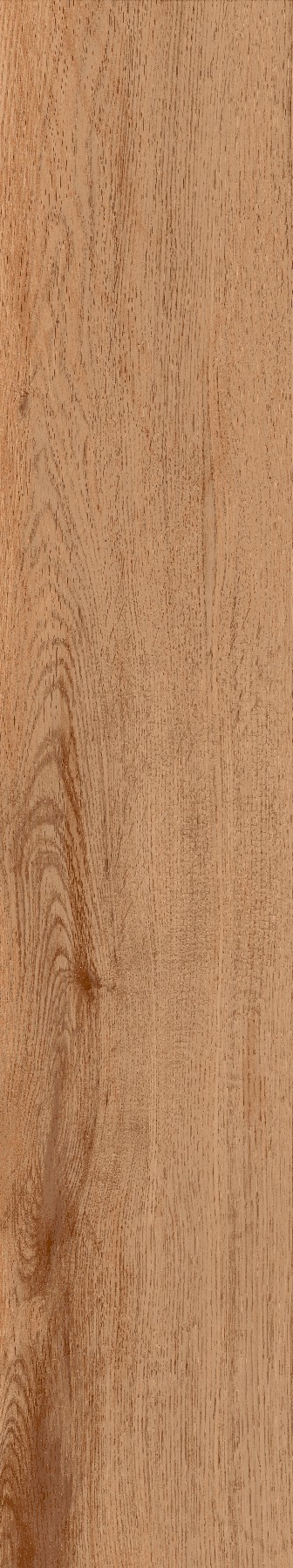 variant-gallery-image