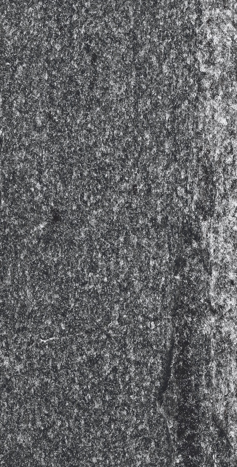 variant-gallery-image