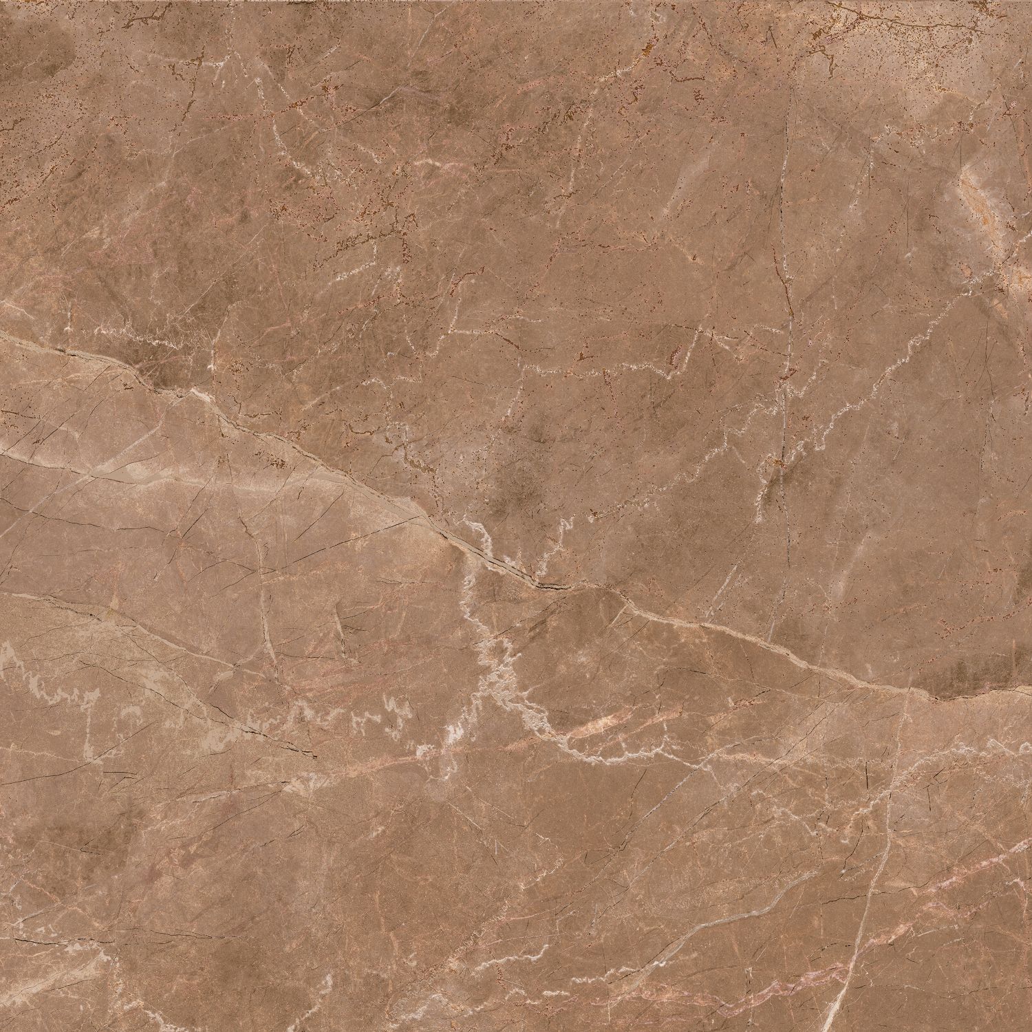 variant-gallery-image